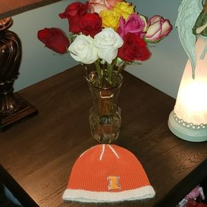New T.E.I. Angora University of Illinois Beanie